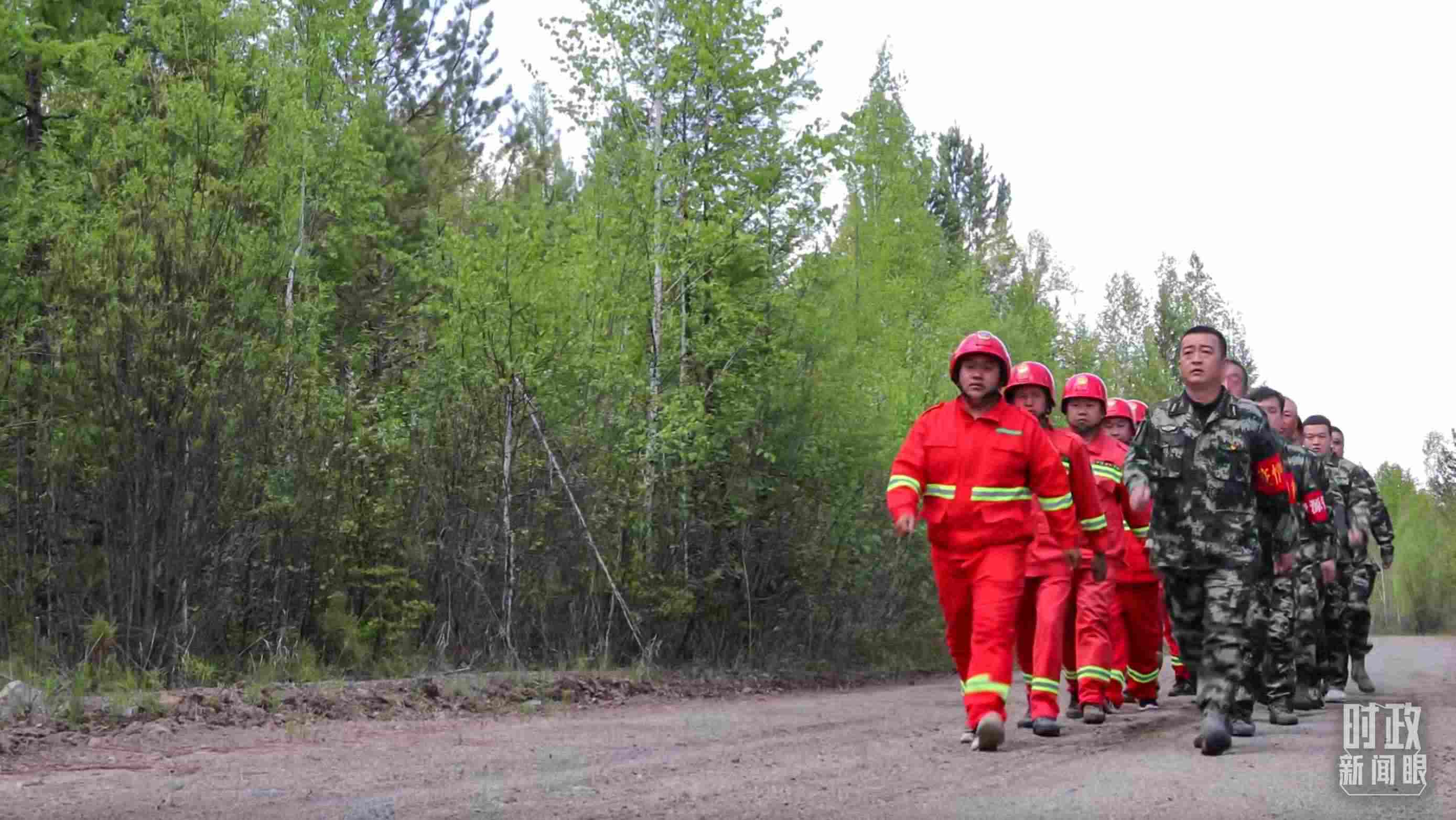 △林場里的森林巡護。