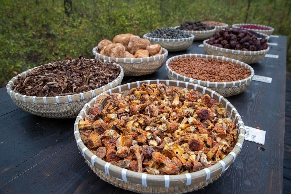 △近日，漠河市北極村一景區(qū)展示的林下產(chǎn)品。