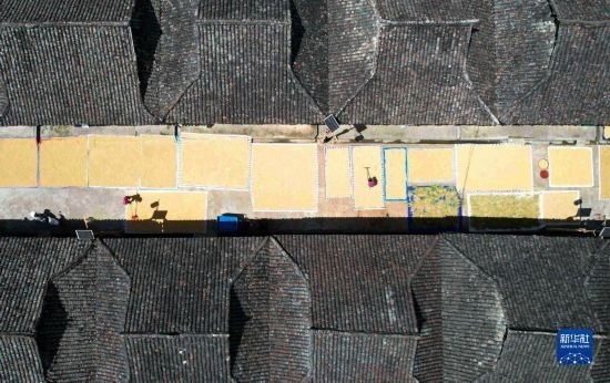 9月16日，在貴州省黔東南苗族侗族自治州從江縣加勉鄉(xiāng)污扣村，村民在晾曬稻谷（無人機(jī)照片）。