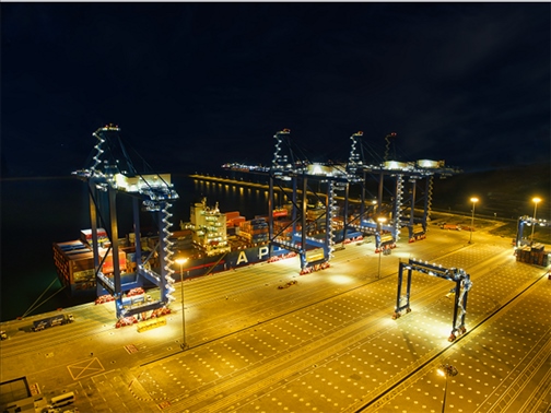 萊基港實行7×24小時裝卸作業(yè)機(jī)制。受訪者供圖