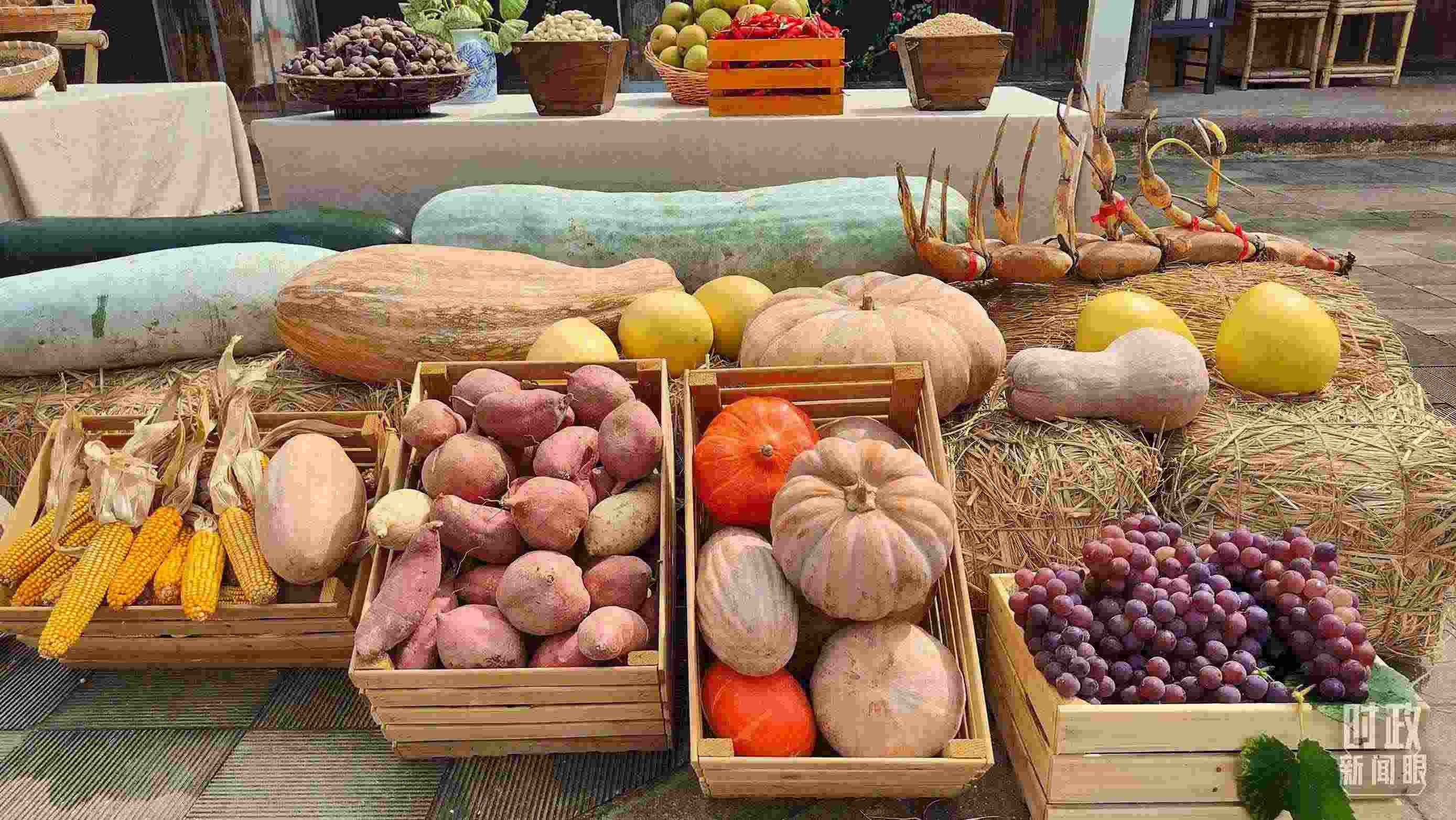 △村廣場“共富市集”，擺放著種類豐富的特色農(nóng)產(chǎn)品。（總臺央視記者楊立峰拍攝）