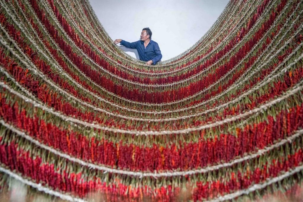 在貴州省畢節(jié)市大方縣理化鄉(xiāng)金雞村，村民查看辣椒烘干情況。新華社發(fā) 羅大富攝