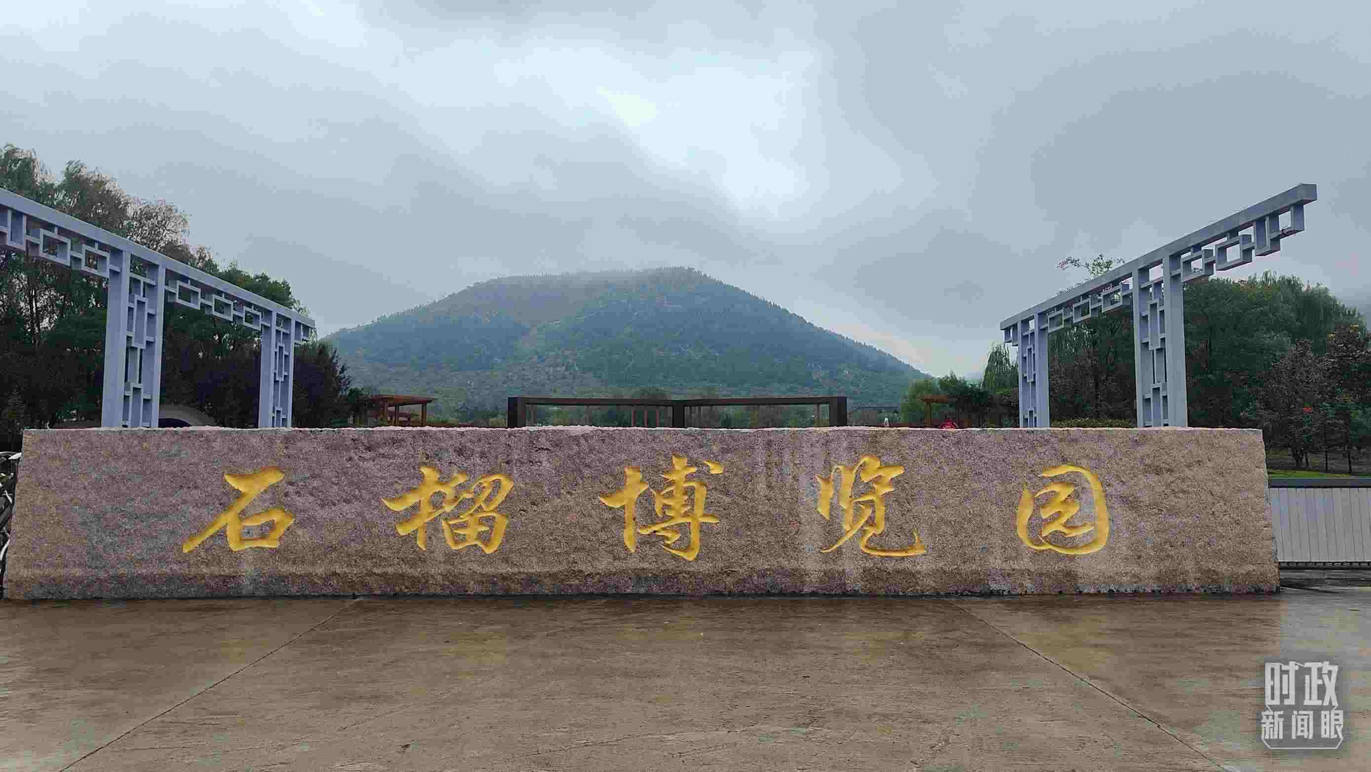 △石榴種質(zhì)資源庫位于石榴博覽園內(nèi)。（總臺央視記者楊立峰拍攝）