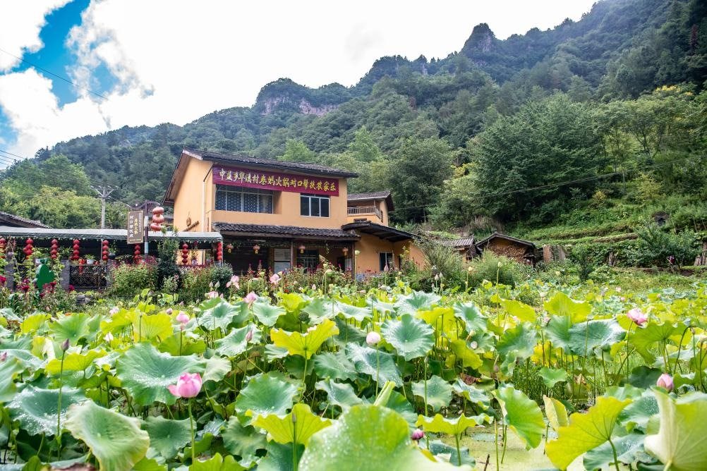 這是8月28日拍攝的華溪村村民開設(shè)的農(nóng)家樂外景。新華社記者 唐奕 攝