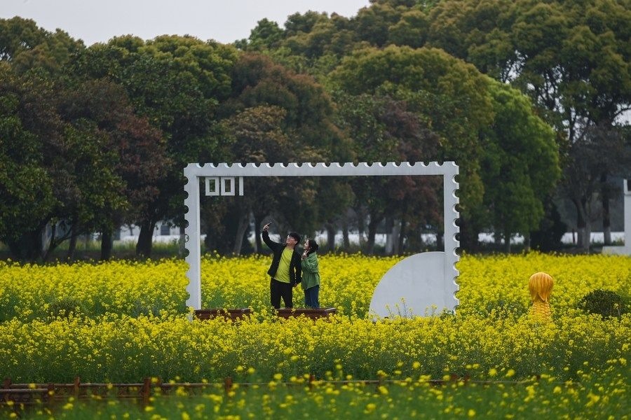 游客在浙江嘉興市秀洲區(qū)王店鎮(zhèn)鎮(zhèn)中村的“青青樂地”農(nóng)耕文化園內(nèi)游玩（2023年4月3日攝）。