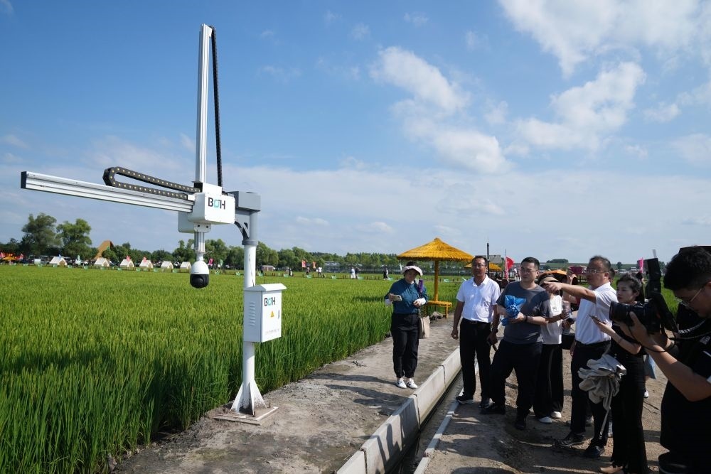 在北大荒集團(tuán)閆家崗農(nóng)場有限公司農(nóng)業(yè)現(xiàn)代化示范區(qū)，工作人員在介紹利用數(shù)字技術(shù)的葉齡診斷儀（2023年8月10日攝）。新華社記者 王建威 攝