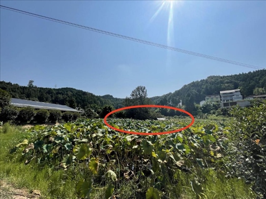 曾經(jīng)的圣水園所在地。 人民網(wǎng)記者 楊喬攝