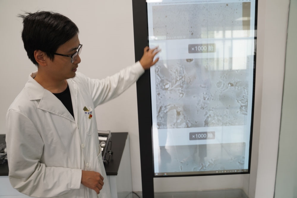 ↑ 工作人員展示瓷片標(biāo)本的配方研究數(shù)據(jù)（2023年5月16日攝）。