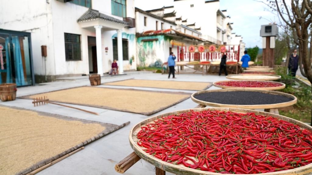 近日拍攝的江西省上饒市婺源縣秋口鎮(zhèn)王村石門自然村。新華社記者 胡晨歡 攝