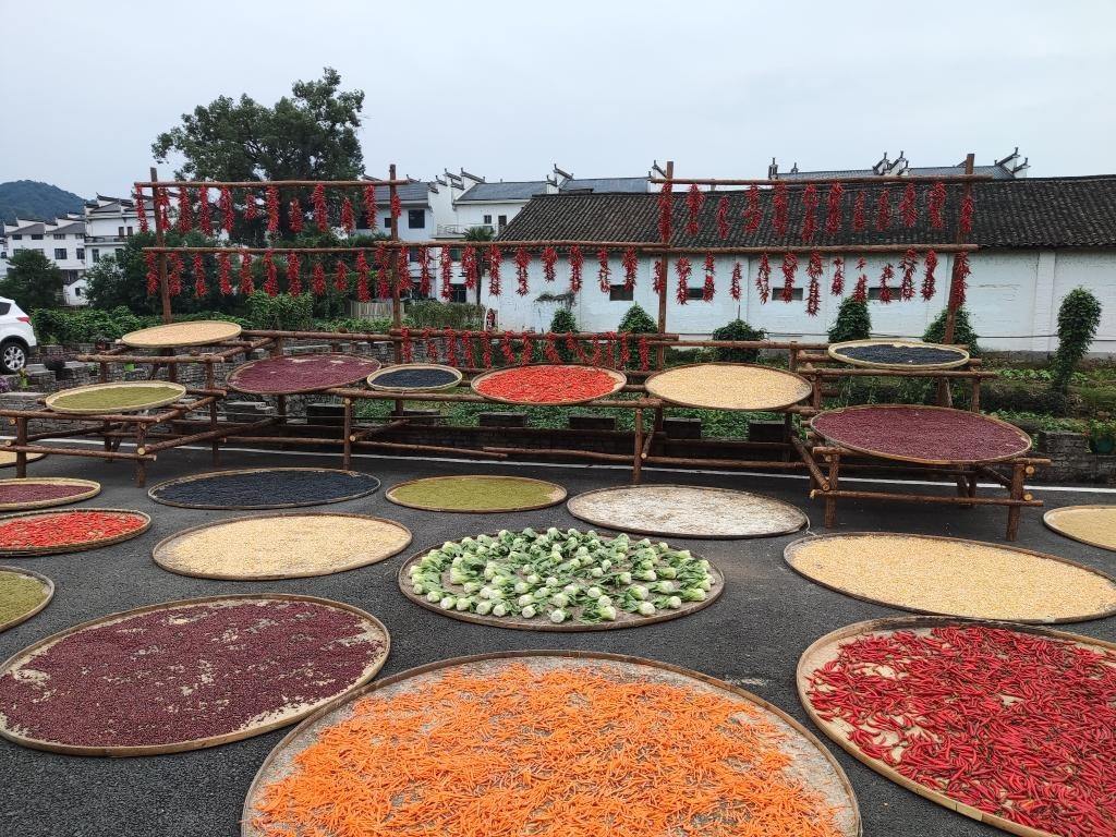 近日，江西省上饒市婺源縣秋口鎮(zhèn)王村村民晾曬的農作物。新華社記者 劉佳敏 攝