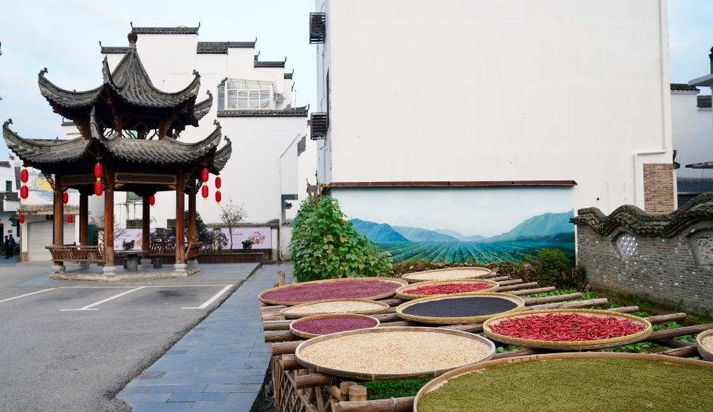 近日拍攝的江西省上饒市婺源縣秋口鎮(zhèn)王村石門自然村曬秋場景。新華社記者 胡晨歡 攝