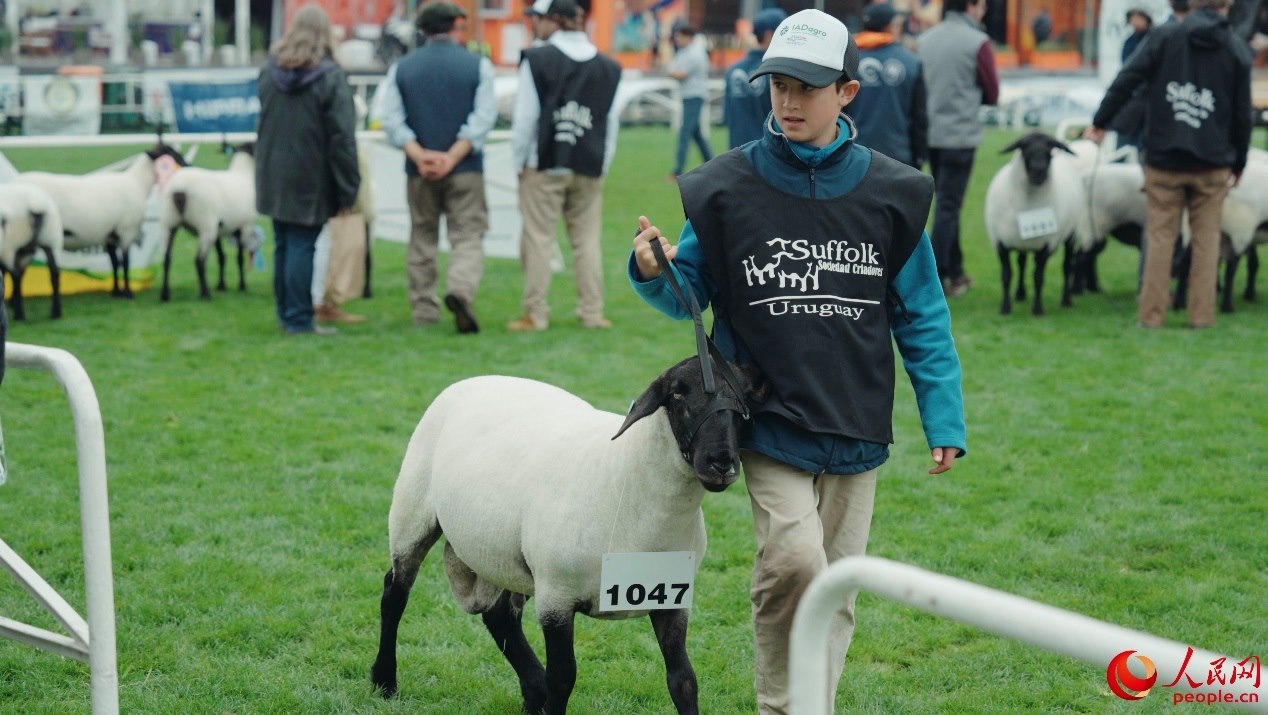 烏拉圭第118屆普拉多牧農(nóng)業(yè)國(guó)際博覽會(huì)現(xiàn)場(chǎng)。人民網(wǎng)記者 張若涵攝