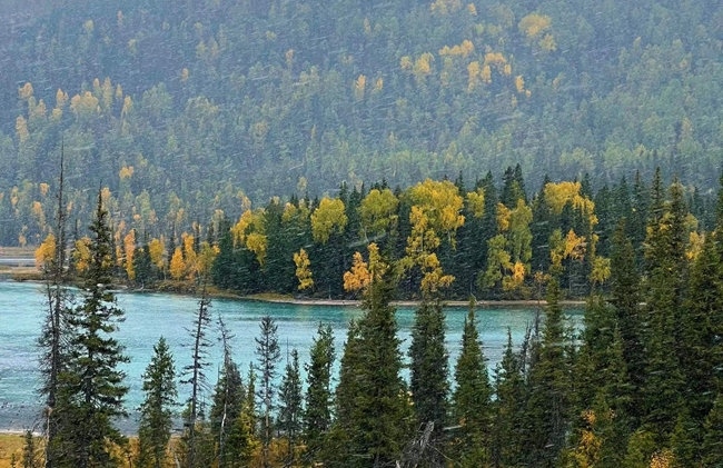 禾木景區(qū)。中國鐵路烏魯木齊局集團有限公司供圖