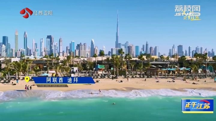 《大道之行 筑夢(mèng)絲路》·山海見證：園區(qū)次第花開 攜手合作共贏