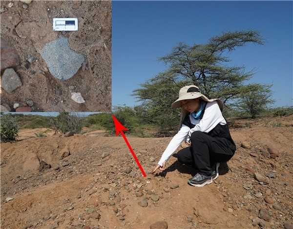 地層中的勒瓦婁哇石片。中肯聯(lián)合考古隊供圖