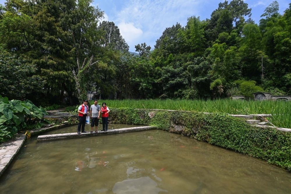 2023年8月17日，浙江省麗水市青田縣方山鄉(xiāng)田魚養(yǎng)殖戶吳勇強(qiáng)（中）在接受青田農(nóng)商銀行“小蜻蜓”服務(wù)隊(duì)志愿者提供的“惠民易貸”上門服務(wù)。近年來，青田縣金融發(fā)展中心聯(lián)合各個(gè)金融機(jī)構(gòu)優(yōu)化配套鄉(xiāng)村振興金融服務(wù)，推出“惠民易貸”“農(nóng)家樂貸”等金融產(chǎn)品，重點(diǎn)支持涉農(nóng)龍頭企業(yè)及特色種養(yǎng)殖產(chǎn)業(yè)。新華社記者 徐昱 攝