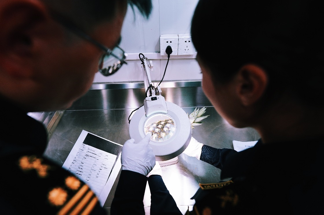 上海海關(guān)關(guān)員針對(duì)檢疫性有害生物和農(nóng)藥殘留進(jìn)行檢疫檢驗(yàn)。陳興洲攝