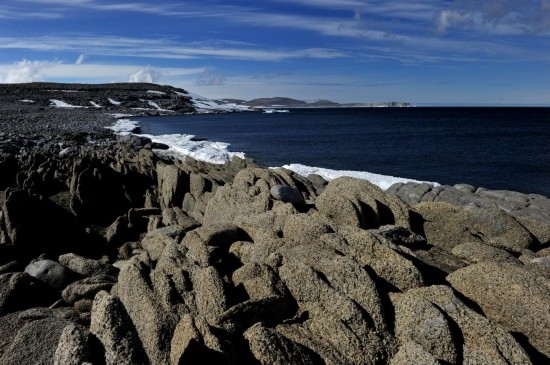 羅斯海恩克斯堡島的夏季風(fēng)光。新華社記者 張建松 攝