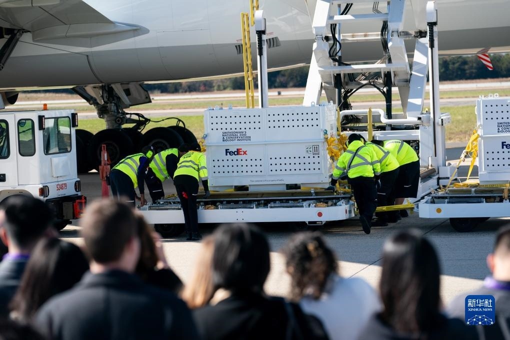 11月8日，在美國弗吉尼亞州的華盛頓杜勒斯國際機場，裝有大熊貓的特制“旅行包廂”準備運上專機。新華社記者劉杰攝