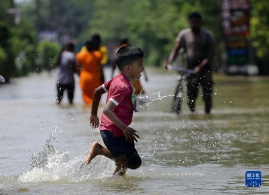 11月24日，一名男孩在斯里蘭卡加姆珀哈涉水出行。新華社發(fā)（阿吉特·佩雷拉攝）