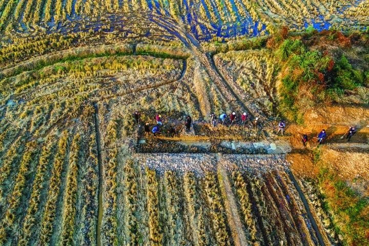 良渚遺址考古發(fā)掘現(xiàn)場(chǎng)。