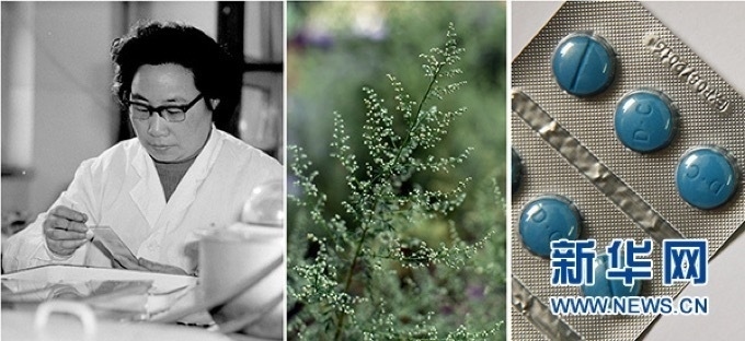 屠呦呦、青蒿和抗瘧疾成藥（拼版資料照片）