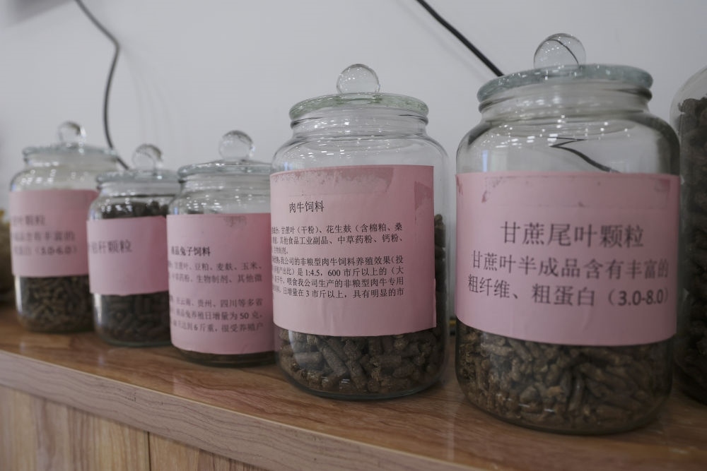 這是12月13日在來賓市興賓區(qū)小平陽鎮(zhèn)一家飼料廠拍攝的以甘蔗尾葉為原料制成的飼料。