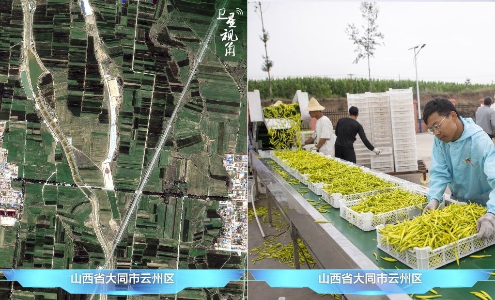 當前，大同市開發(fā)黃花菜品、食品、飲品、功能食品、化妝品、文創(chuàng)產品六大系列130余種，全產業(yè)鏈產值超40億元。