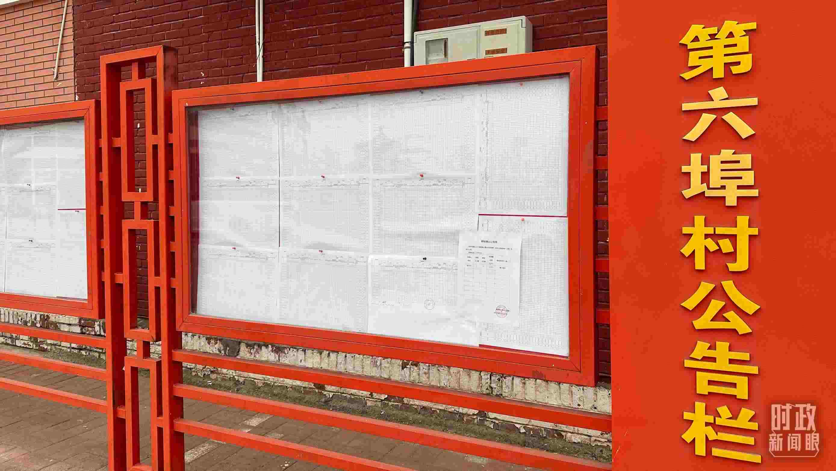 △第六埠村公告欄里張貼著“天津市2023年蓄滯洪區(qū)農(nóng)作物、經(jīng)濟(jì)林補(bǔ)償標(biāo)準(zhǔn)表”等。（總臺(tái)央視記者覃思拍攝）