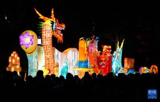 2月11日晚，人們在濟南市趵突泉公園觀賞花燈。