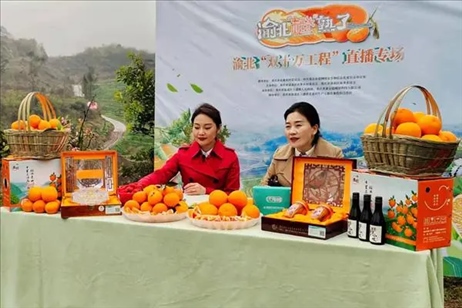 2021年2月26日，在重慶渝北區(qū)大盛鎮(zhèn)青龍村舉辦的直播活動現(xiàn)場。