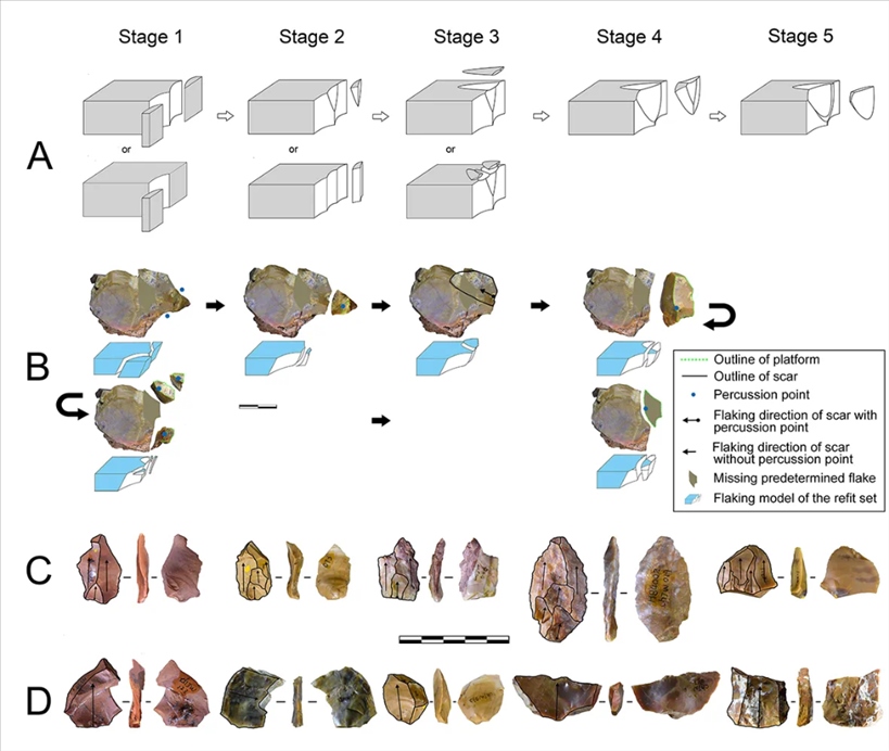 岑家灣遺址“準備石核技術(shù)”及相關(guān)石制品。（受訪單位供圖）