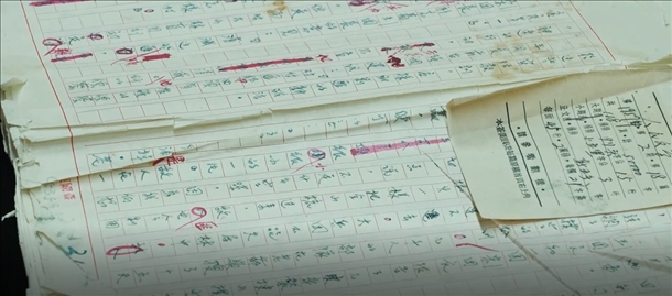 曲波《林海雪原》手稿。主辦方供圖