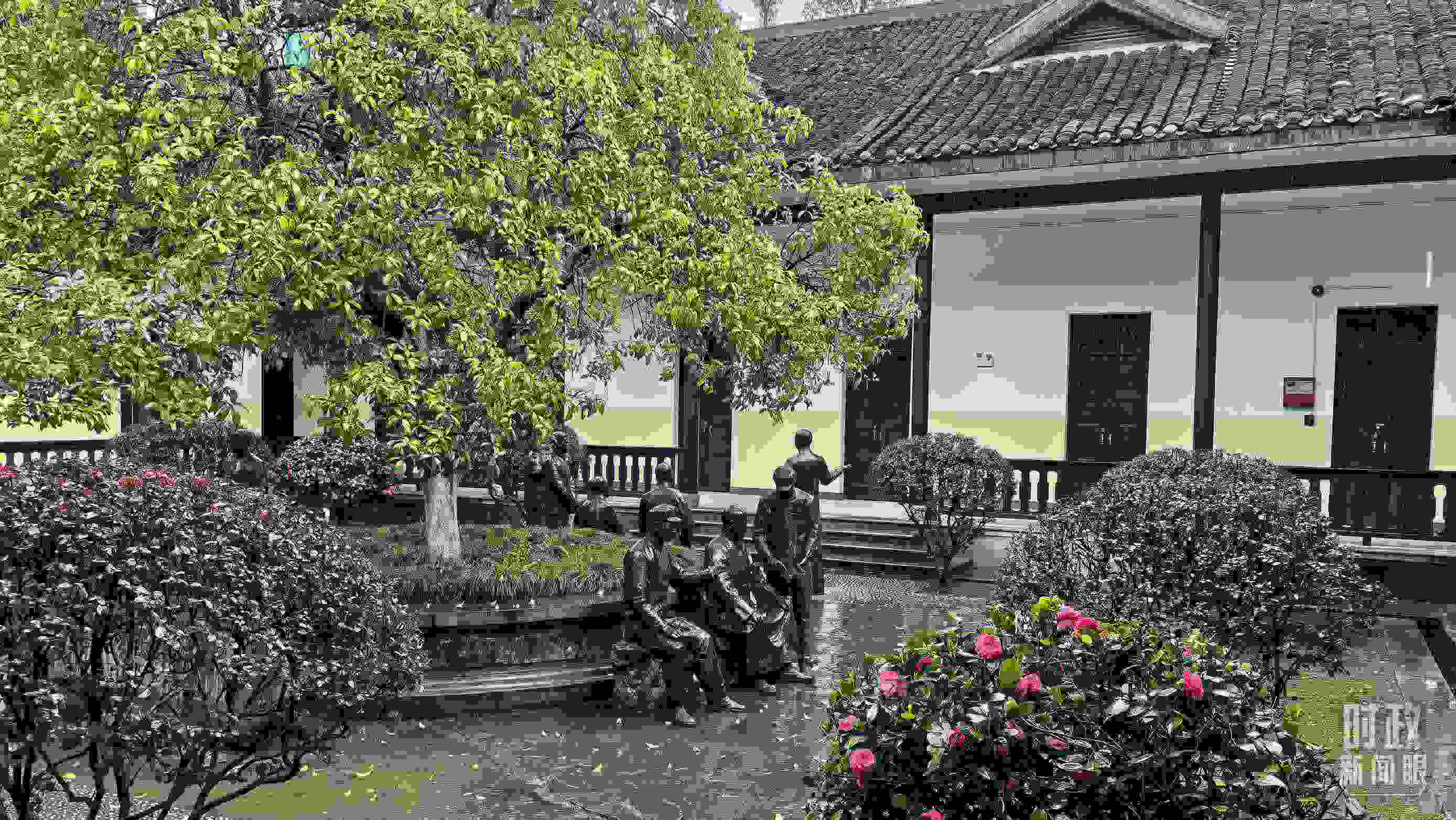 △湖南第一師范學(xué)院（城南書院校區(qū)）校園里。（總臺(tái)央視記者趙化拍攝）