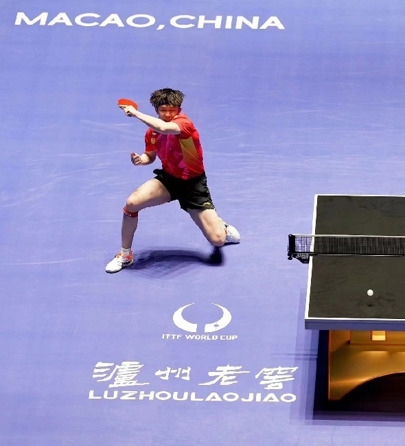 王楚欽在比賽中。賽事方供圖