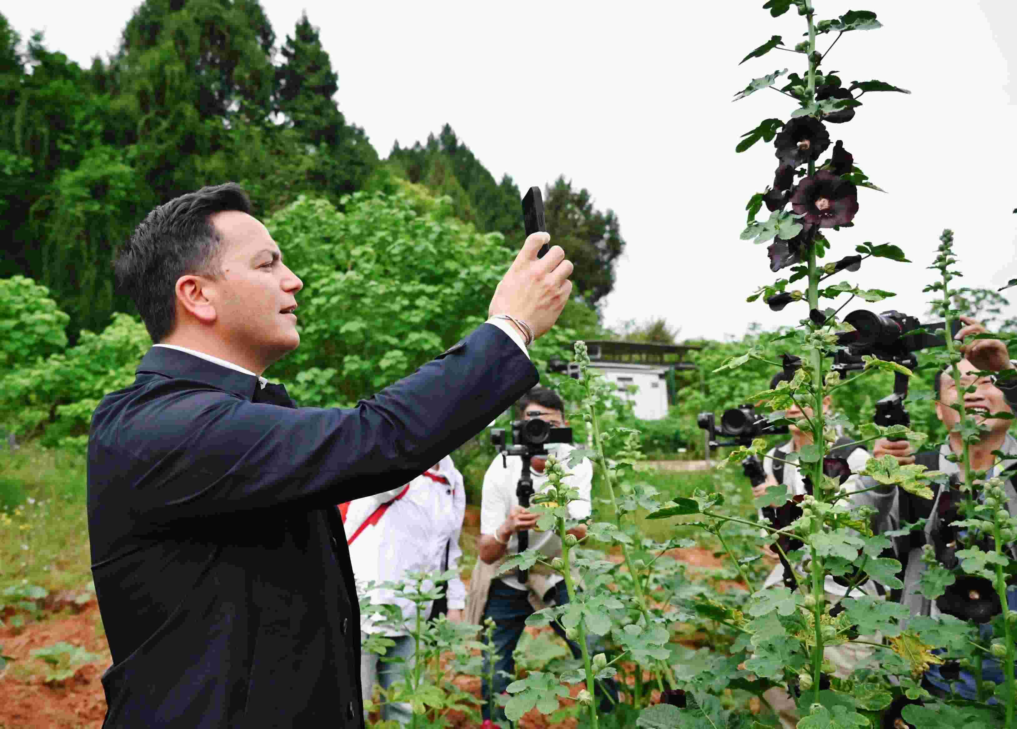  △2024年4月23日，國際園藝生產(chǎn)者協(xié)會主席萊昂納多·卡皮塔尼奧在成都市金堂縣鮮花山谷景區(qū)考察蜀葵產(chǎn)業(yè)。