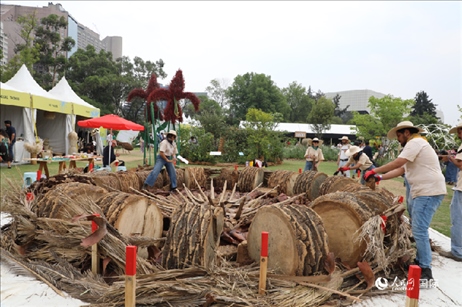 坎波·馬特活動(dòng)現(xiàn)場(chǎng)。埃內(nèi)斯托·多明戈斯攝