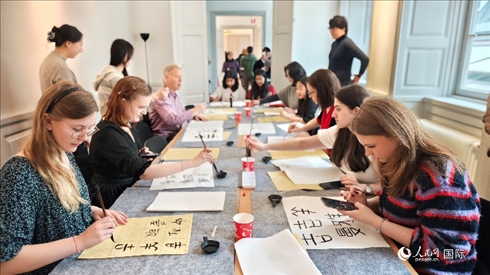 瑞典書法愛好者專心學(xué)習(xí)書法。人民網(wǎng)記者 殷淼攝