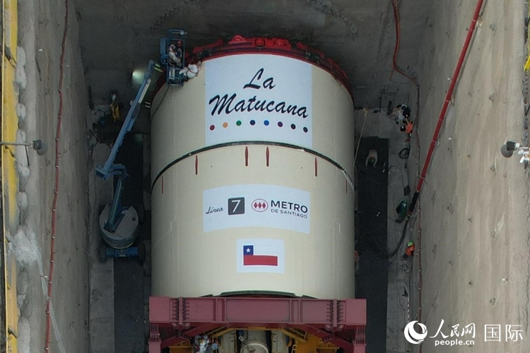 質(zhì)構(gòu)機全景。陳露明攝