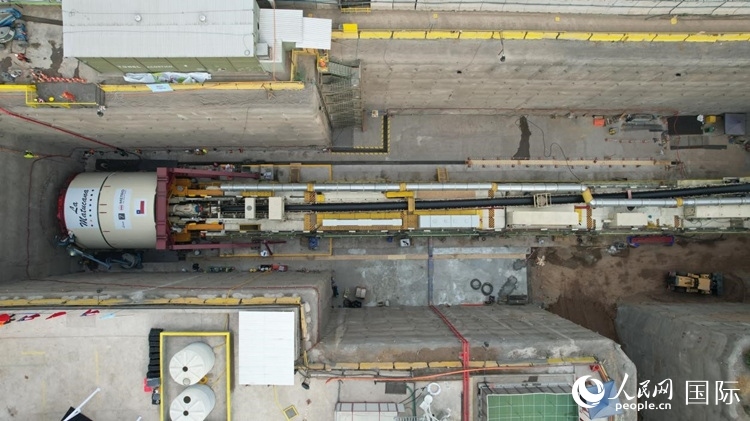 質(zhì)構(gòu)機全景。陳露明攝