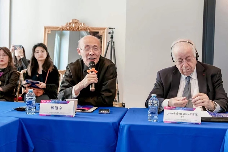 中國傳媒大學(xué)文化發(fā)展與傳播研究院院長熊澄宇教授發(fā)言（圖片：中國傳媒大學(xué)