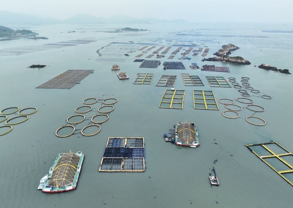 在福建連江定海灣海域，坐落著“定海灣1號(hào)”“定海灣2號(hào)”等深遠(yuǎn)海養(yǎng)殖平臺(tái)（2024年5月7日攝，無人機(jī)照片）。新華社記者 林善傳 攝