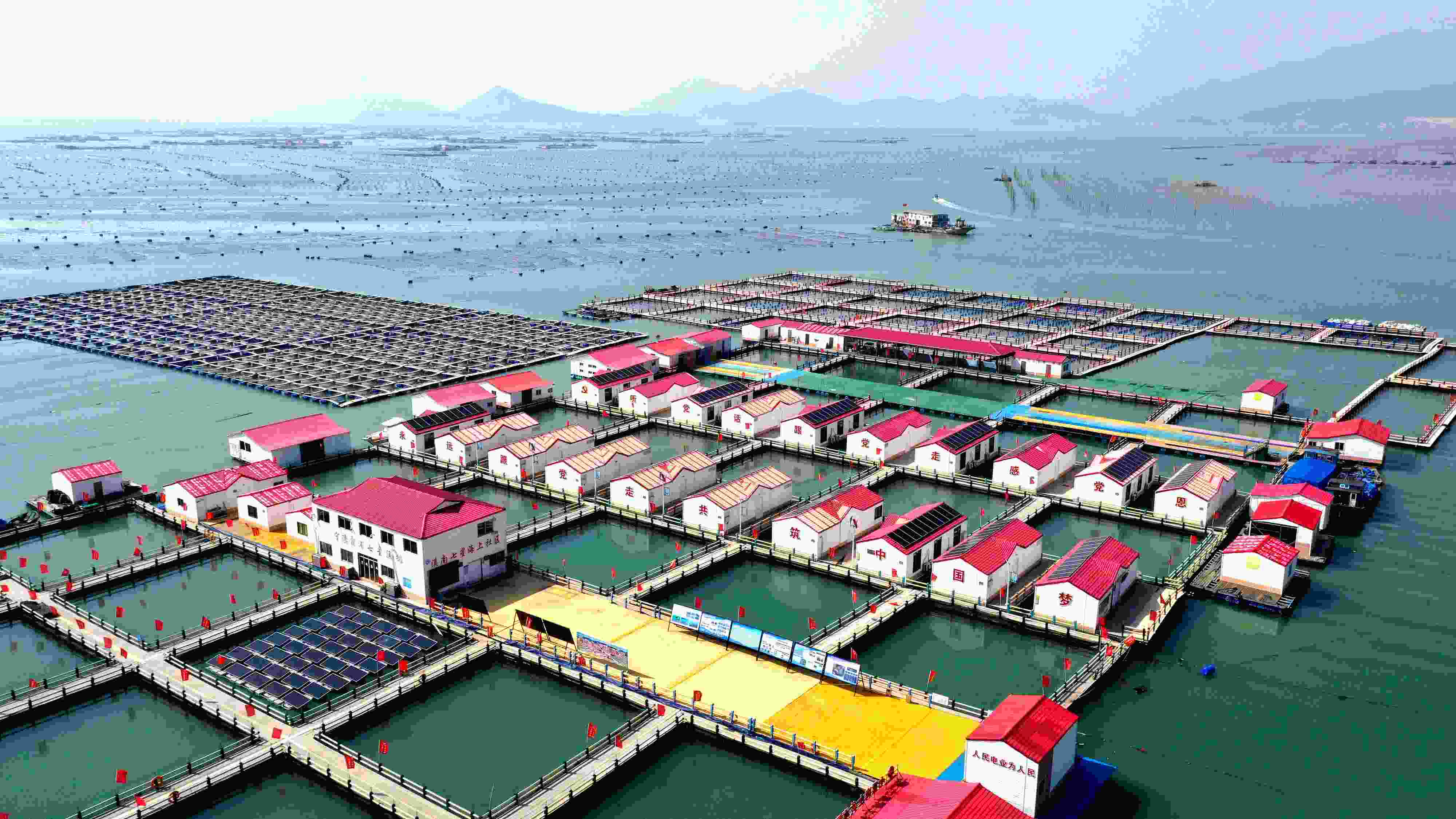 2024年3月20日，福建省寧德市，霞浦縣溪南鎮(zhèn)七星村漁排養(yǎng)殖示范區(qū)，漁民駕駛養(yǎng)殖船進行海參養(yǎng)殖作業(yè)。