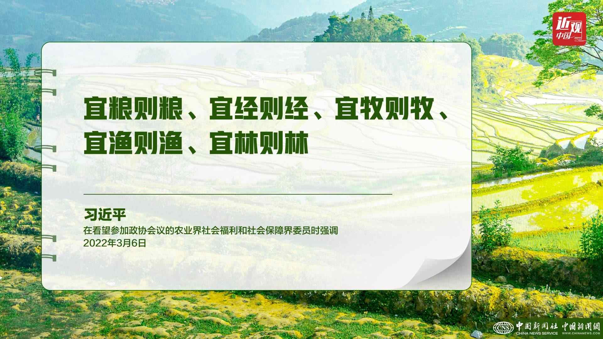 習(xí)近平：樹立大食物觀，構(gòu)建多元化食物供給體系