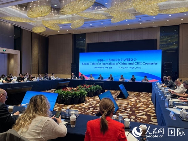 圓桌會現(xiàn)場。人民網(wǎng)記者 周輖攝