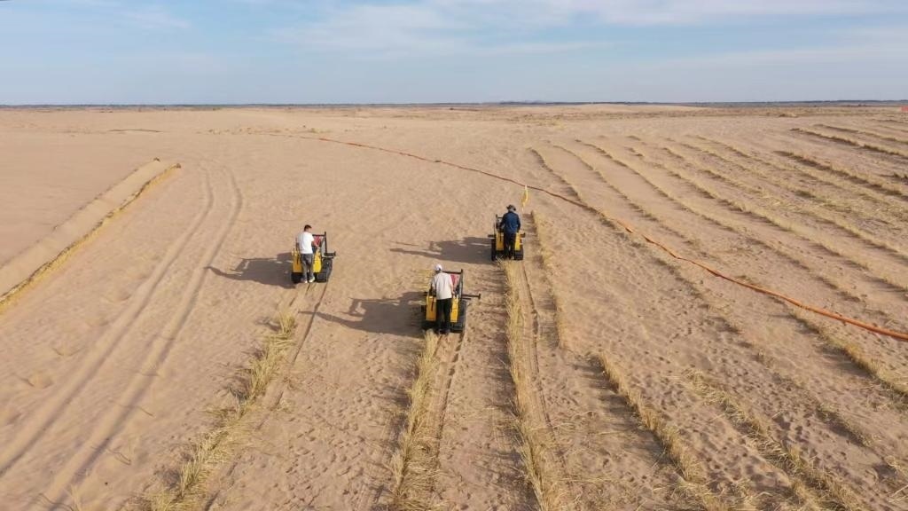 內(nèi)蒙古巴彥淖爾市烏拉特后旗西補(bǔ)隆林業(yè)管護(hù)中心職工駕駛機(jī)械鋪設(shè)壓沙障。新華社記者 李云平 攝