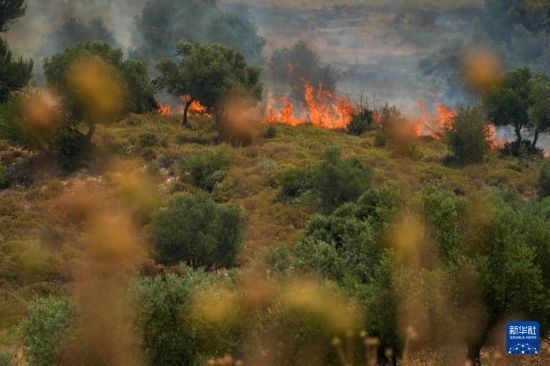 6月12日，以色列北部加利利地區(qū)遭受火箭彈襲擊后冒出滾滾濃煙。新華社發(fā)（阿亞爾·馬戈林攝/基尼圖片社）