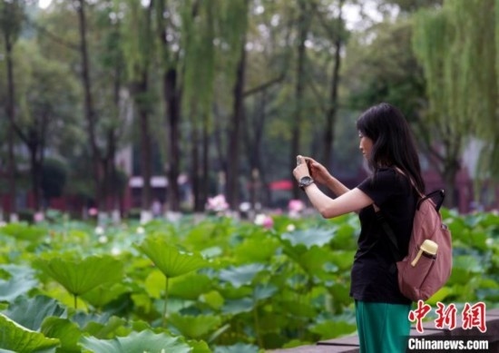 6月19日，時(shí)值一年畢業(yè)季，四川大學(xué)望江校區(qū)荷花池里的荷花盛開，成為了畢業(yè)生們的打卡圣地，吸引了眾多畢業(yè)生拍照留念。圖為畢業(yè)生在荷花池邊拍照留念。中新社記者 安源 攝