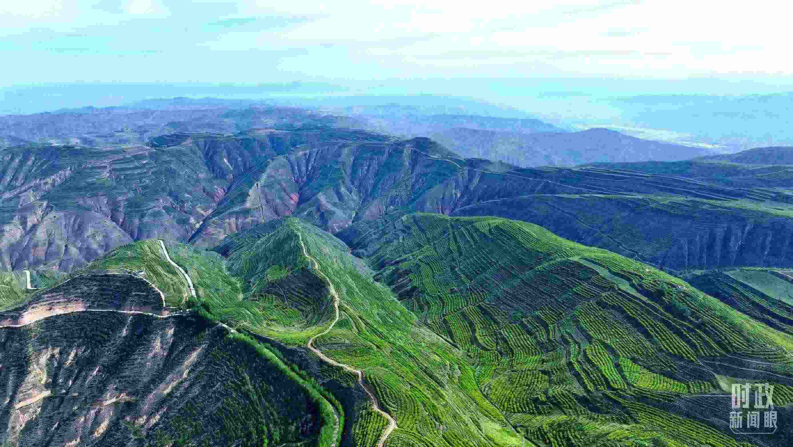 △青海西寧。（總臺記者柳成拍攝）