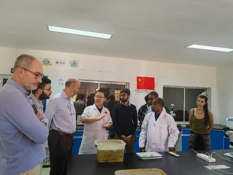 活動現(xiàn)場。專家組供圖